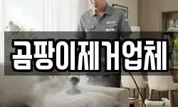 곰팡이제거업체