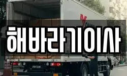 해바라기이사