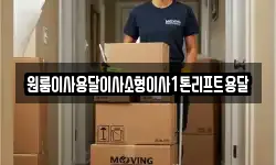 전북특별자치도 정읍시 신태인읍 이사,용달이사,포장이사,원룸이사,보관이사