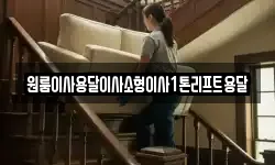 원룸이사용달이사소형이사1톤리프트용달