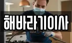 해바라기이사