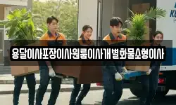 용달이사포장이사원룸이사개별화물소형이사