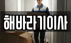 해바라기이사