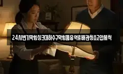 24시변기막힘싱크대하수구막힘뚫음역류배관청소고압세척