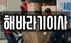 전북특별자치도 정읍시 입암면 이사,용달이사,포장이사,원룸이사,보관이사