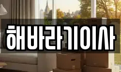 해바라기이사