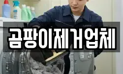 곰팡이제거업체