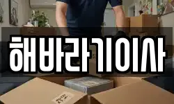 해바라기이사