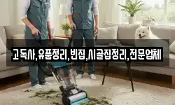 전북특별자치도 진안군 부귀면 청소,입주청소,사무실청소,에어컨청소