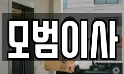 모범이사