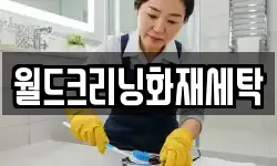 월드크리닝화재세탁