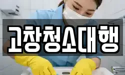 고창청소대행