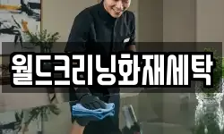 월드크리닝화재세탁