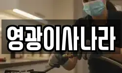 영광이사나라