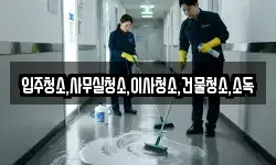 입주청소,사무실청소,이사청소,건물청소,소독
