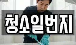 청소일번지