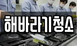 해바라기청소