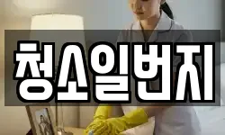 청소일번지