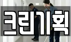 크린기획