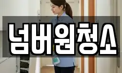 넘버원청소