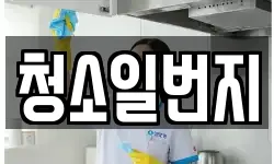청소일번지