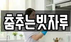 춤추는빗자루