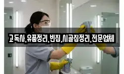고독사,유품정리,빈집,시골집정리,전문업체