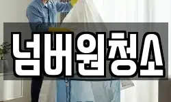 넘버원청소