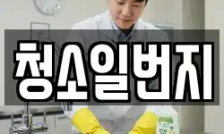 청소일번지
