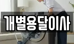 개별용달이사