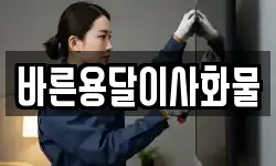 바른용달이사화물