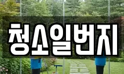 청소일번지