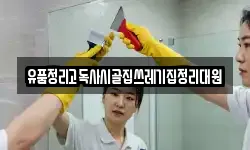 유품정리고독사시골집쓰레기집정리대원