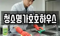 청소명가호호하우스