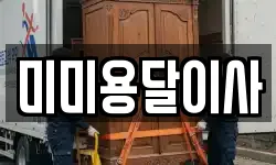 미미용달이사