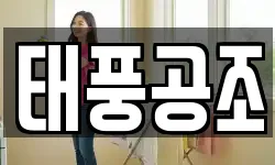 태풍공조