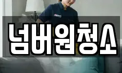 넘버원청소