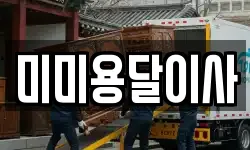 미미용달이사