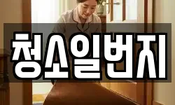 청소일번지