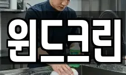 윈드크린