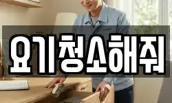 요기청소해줘