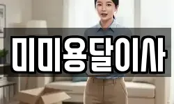 미미용달이사