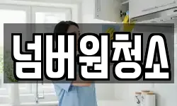 넘버원청소
