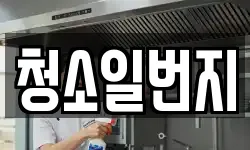 청소일번지