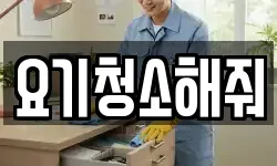 요기청소해줘