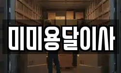 미미용달이사