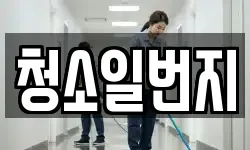 청소일번지