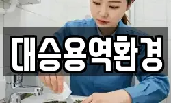 대승용역환경