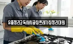 유품정리고독사시골집쓰레기집정리대원