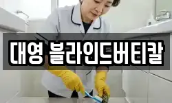 대영 블라인드버티칼